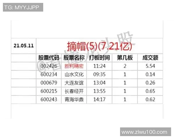 成都羽毛球队技术对比深度解析与发展趋势探讨